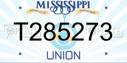 T285273 Mississippi License Plate