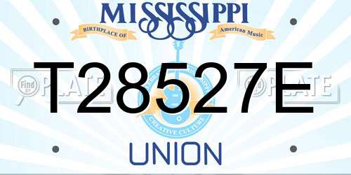 T28527E Mississippi License Plate