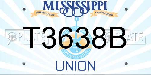 T3638B Mississippi License Plate