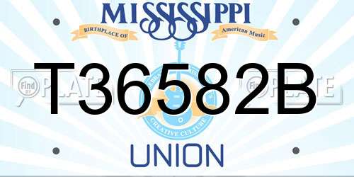 T36582B Mississippi License Plate