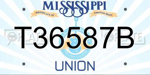 T36587B Mississippi License Plate