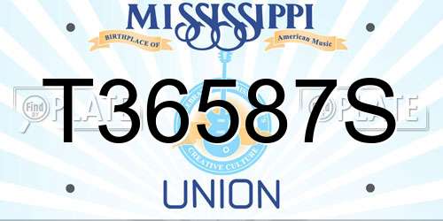 T36587S Mississippi License Plate