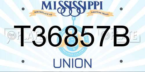 T36857B Mississippi License Plate