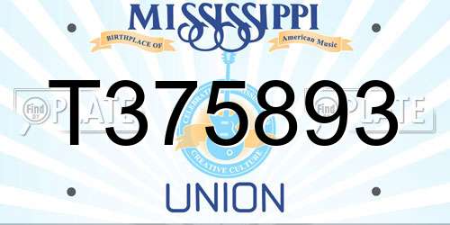 T375893 Mississippi License Plate