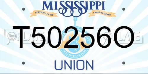 T50256O Mississippi License Plate