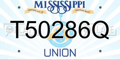 T50286Q Mississippi License Plate