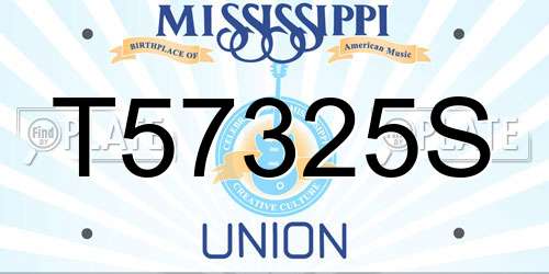 T57325S Mississippi License Plate