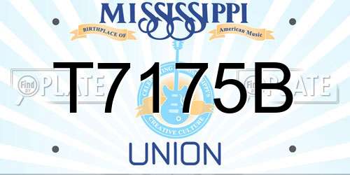 T7175B Mississippi License Plate