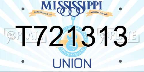 T721313 Mississippi License Plate
