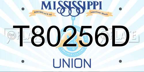 T80256D Mississippi License Plate