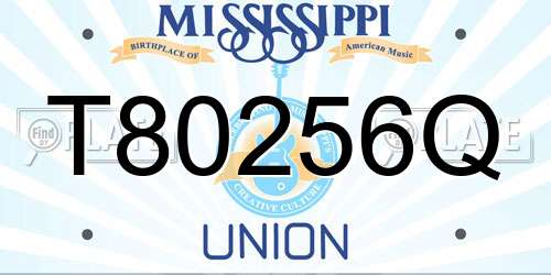 T80256Q Mississippi License Plate