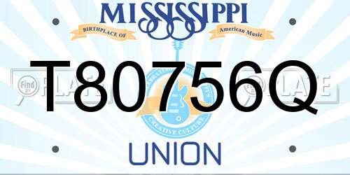 T80756Q Mississippi License Plate