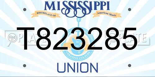 T823285 Mississippi License Plate