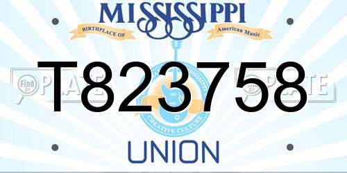 T823758 Mississippi License Plate