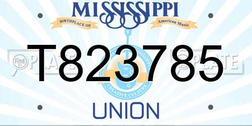 T823785 Mississippi License Plate