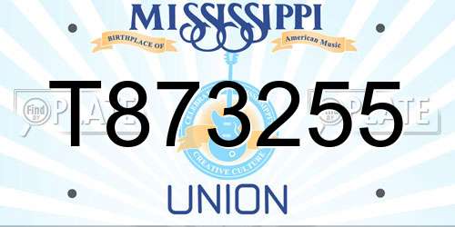 T873255 Mississippi License Plate