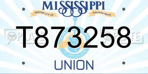 T873258 Mississippi License Plate