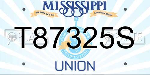 T87325S Mississippi License Plate