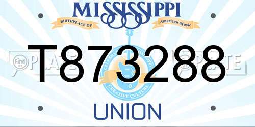 T873288 Mississippi License Plate