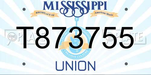 T873755 Mississippi License Plate