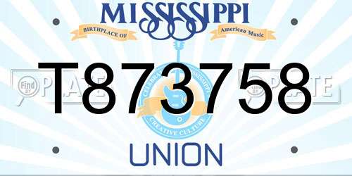T873758 Mississippi License Plate