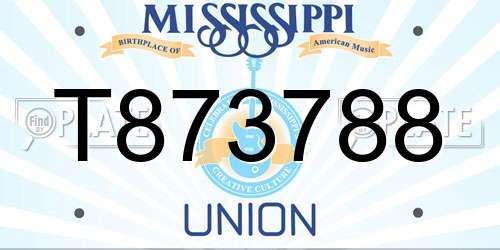 T873788 Mississippi License Plate