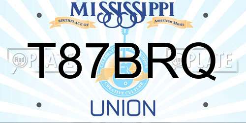 T87BRQ Mississippi License Plate