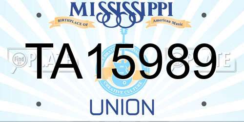 TA15989 Mississippi License Plate