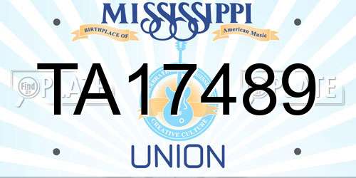 TA17489 Mississippi License Plate