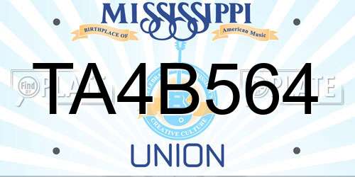 TA4B564 Mississippi License Plate