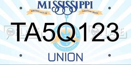 TA5Q123 Mississippi License Plate