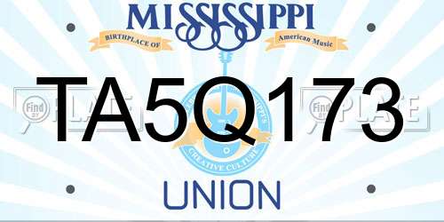 TA5Q173 Mississippi License Plate