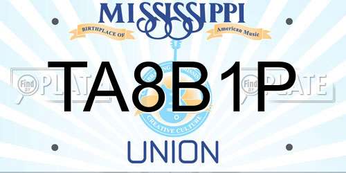 TA8B1P Mississippi License Plate