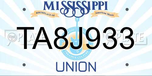 TA8J933 Mississippi License Plate