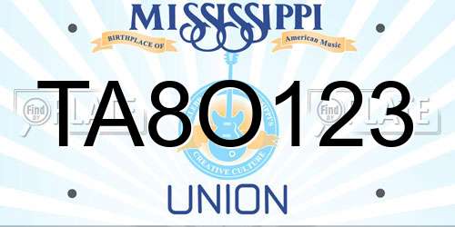 TA8O123 Mississippi License Plate
