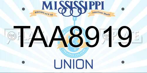 TAA8919 Mississippi License Plate