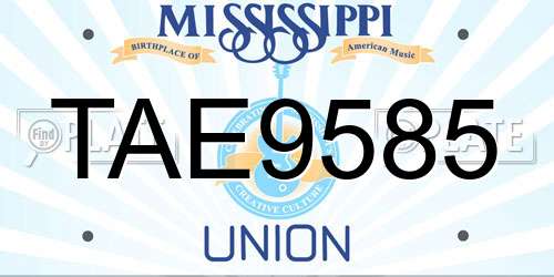 TAE9585 Mississippi License Plate