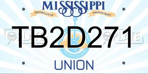 TB2D271 Mississippi License Plate