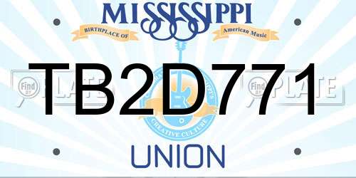TB2D771 Mississippi License Plate