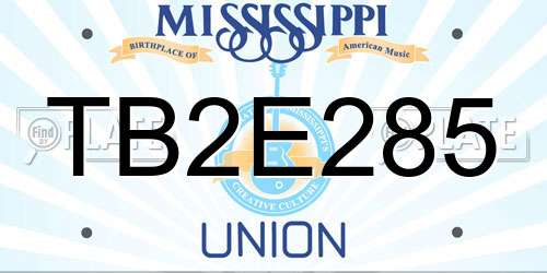 TB2E285 Mississippi License Plate
