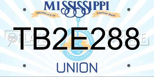 TB2E288 Mississippi License Plate