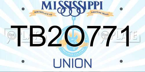 TB2O771 Mississippi License Plate