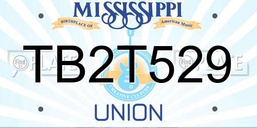 TB2T529 Mississippi License Plate