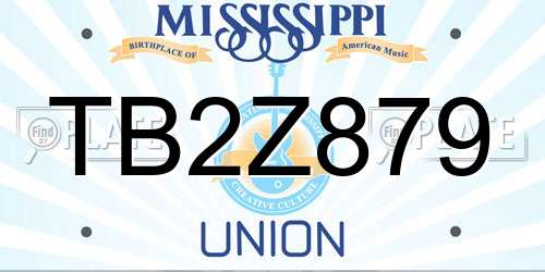 TB2Z879 Mississippi License Plate