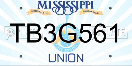 TB3G561 Mississippi License Plate
