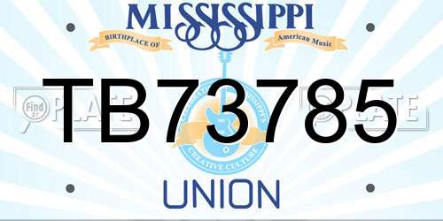 TB73785 Mississippi License Plate
