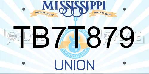 TB7T879 Mississippi License Plate