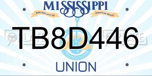 TB8D446 Mississippi License Plate