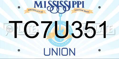 TC7U351 Mississippi License Plate