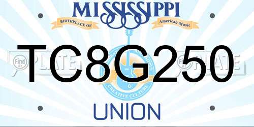 TC8G250 Mississippi License Plate